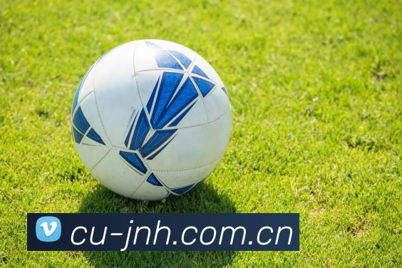 金年会APP下载 - 官方在线入口 - JNH SPORTSApp常见问题